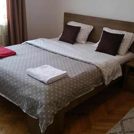 Apartament Lavinia Calimanesti Exterior photo