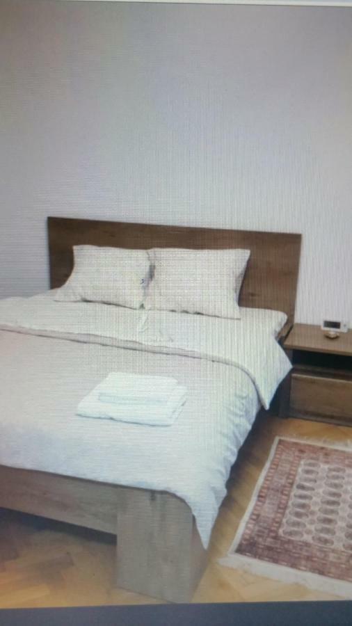 Apartament Lavinia Calimanesti Exterior photo