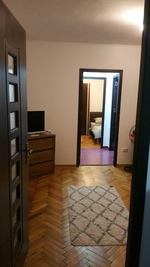 Apartament Lavinia Calimanesti Exterior photo
