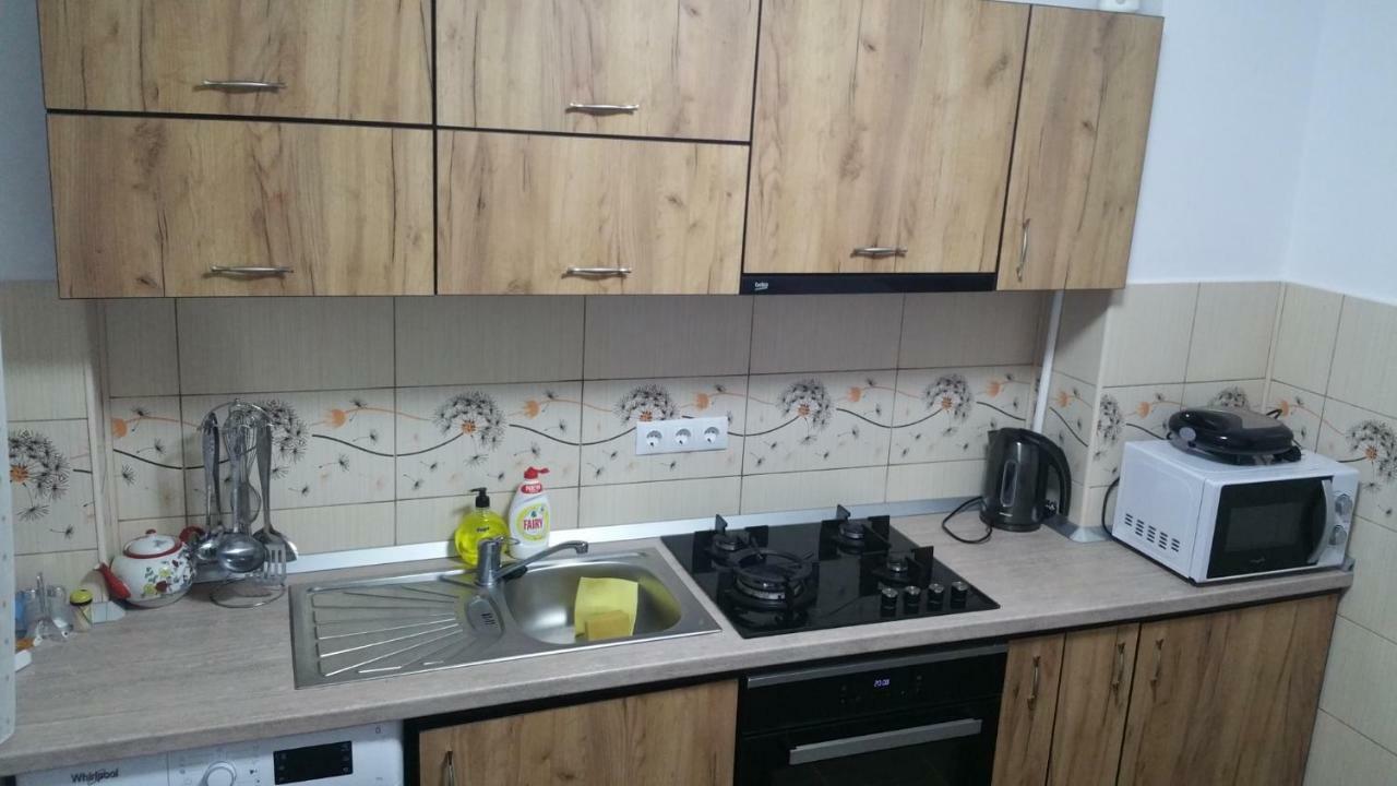 Apartament Lavinia Calimanesti Exterior photo