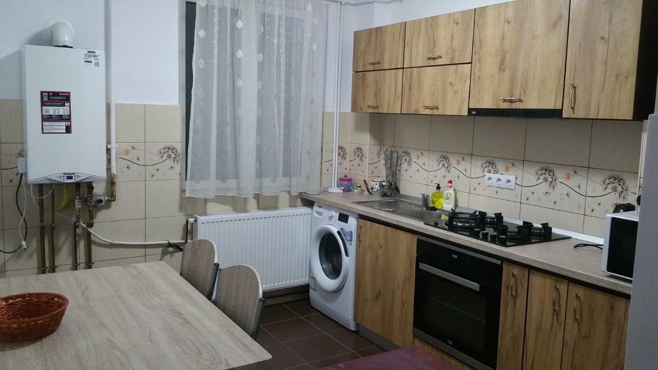 Apartament Lavinia Calimanesti Exterior photo